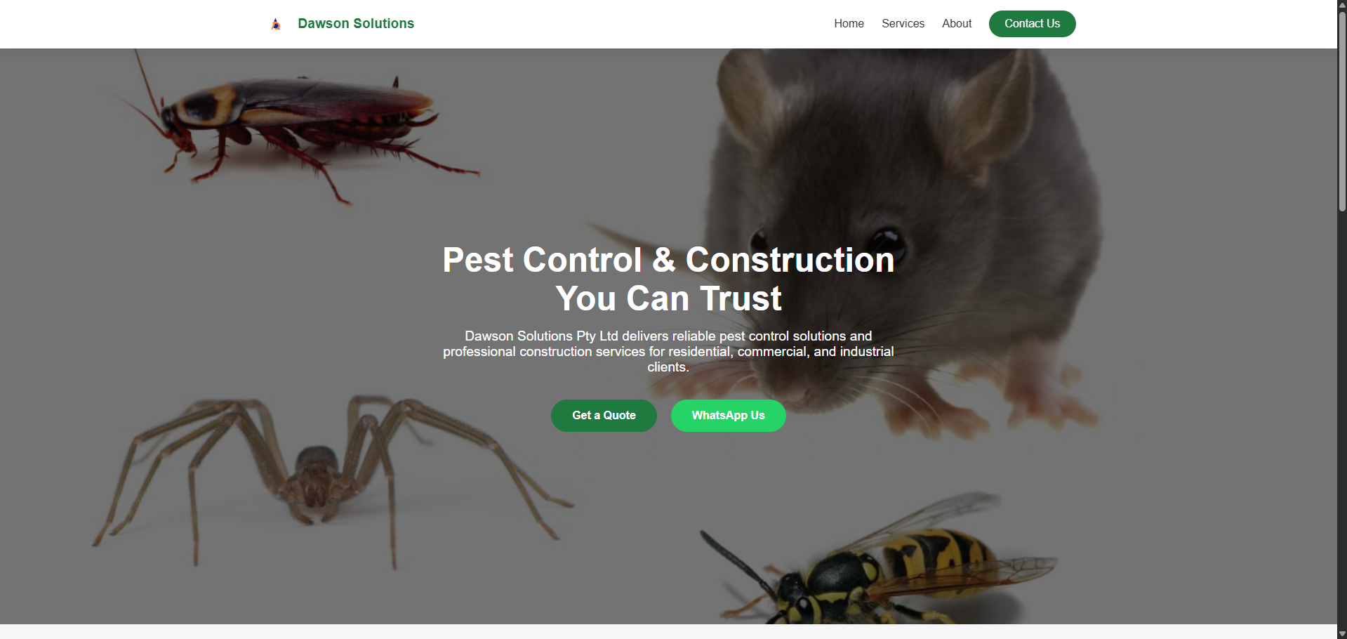 Professional web development showcase