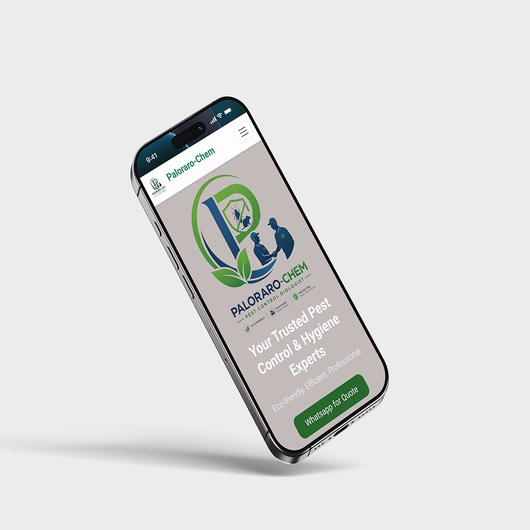 Dejuel web design project